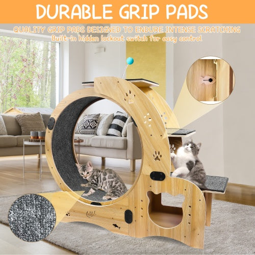 Cat Exercise Wheel 6 in 1