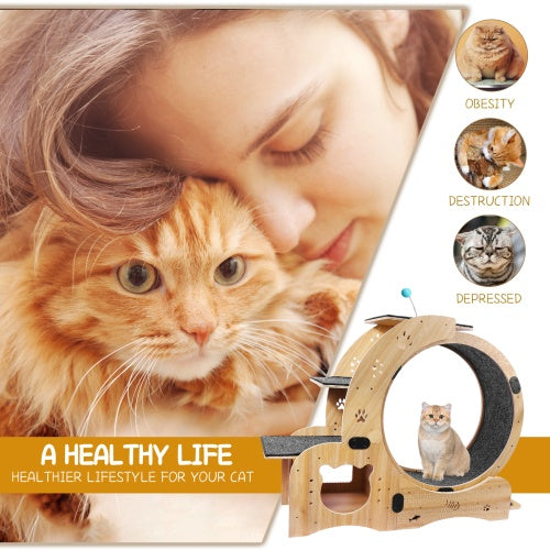 Cat Exercise Wheel 6 in 1