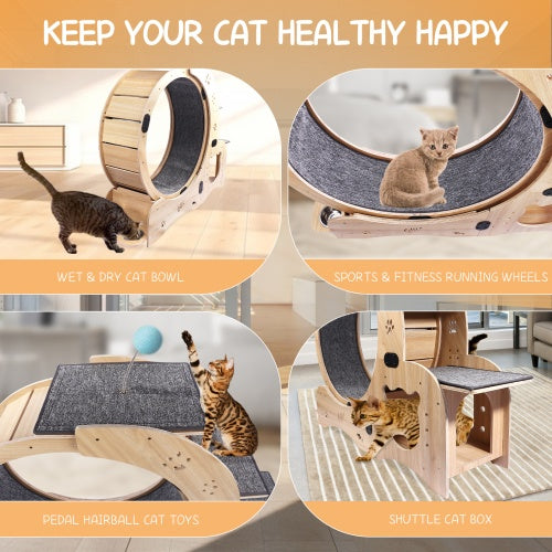 Cat Exercise Wheel 6 in 1