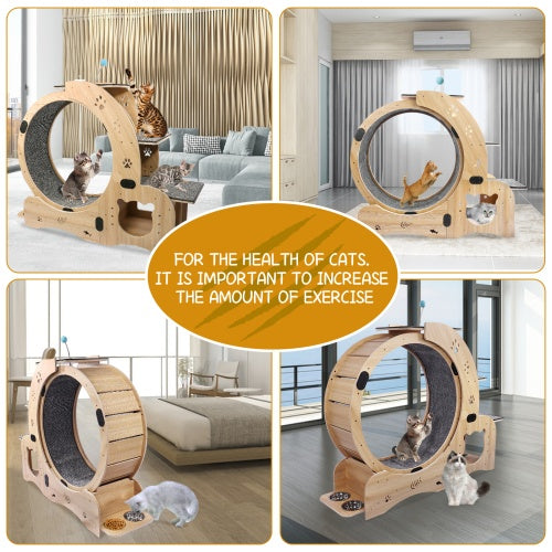 Cat Exercise Wheel 6 in 1