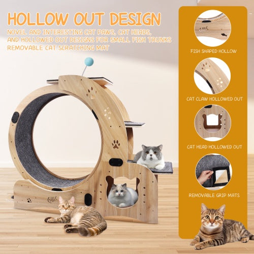 Cat Exercise Wheel 6 in 1