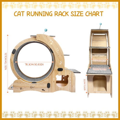Cat Exercise Wheel 6 in 1