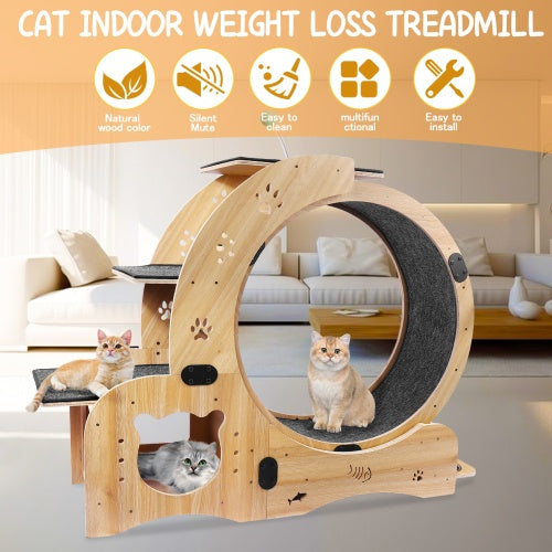 Cat Exercise Wheel 6 in 1