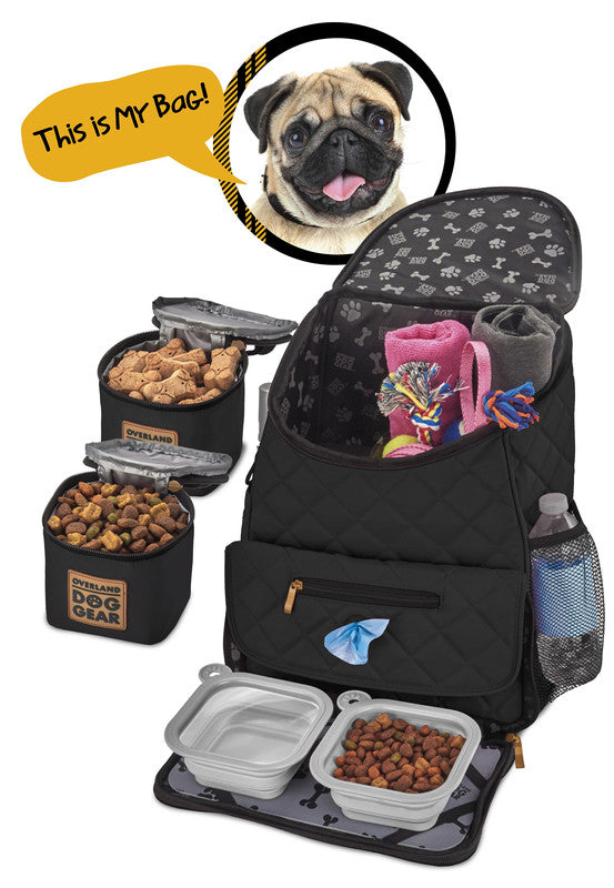 Pet Travel Backpack