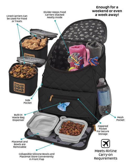 Pet Travel Backpack