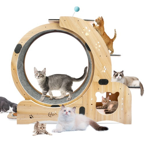 Cat Exercise Wheel 6 in 1