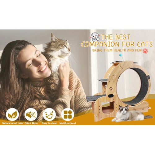 Cat Exercise Wheel 6 in 1