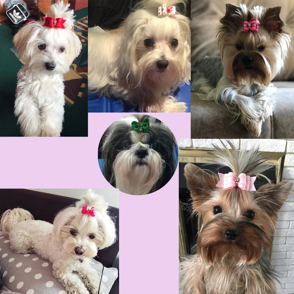 Rubber Band Pet Hair Bows