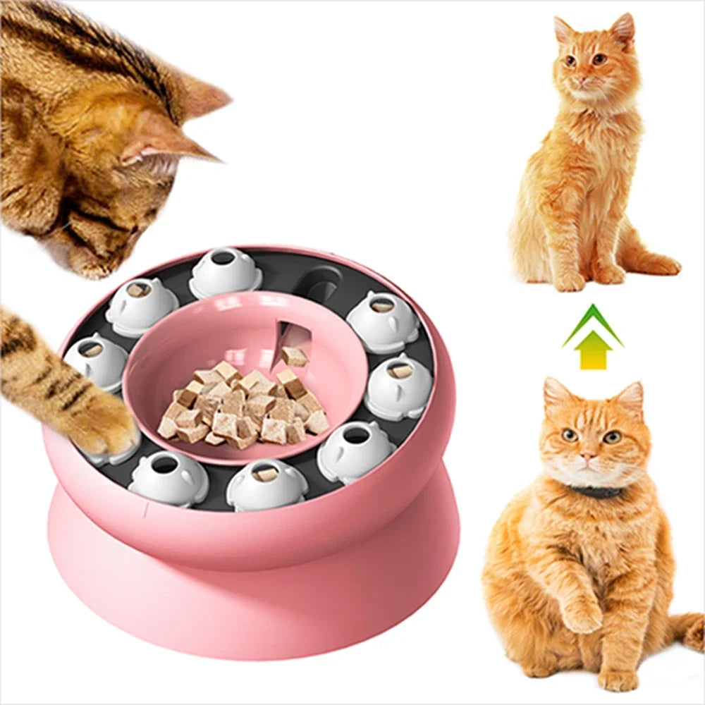 Interactive Cat Slow Feeder Bowl