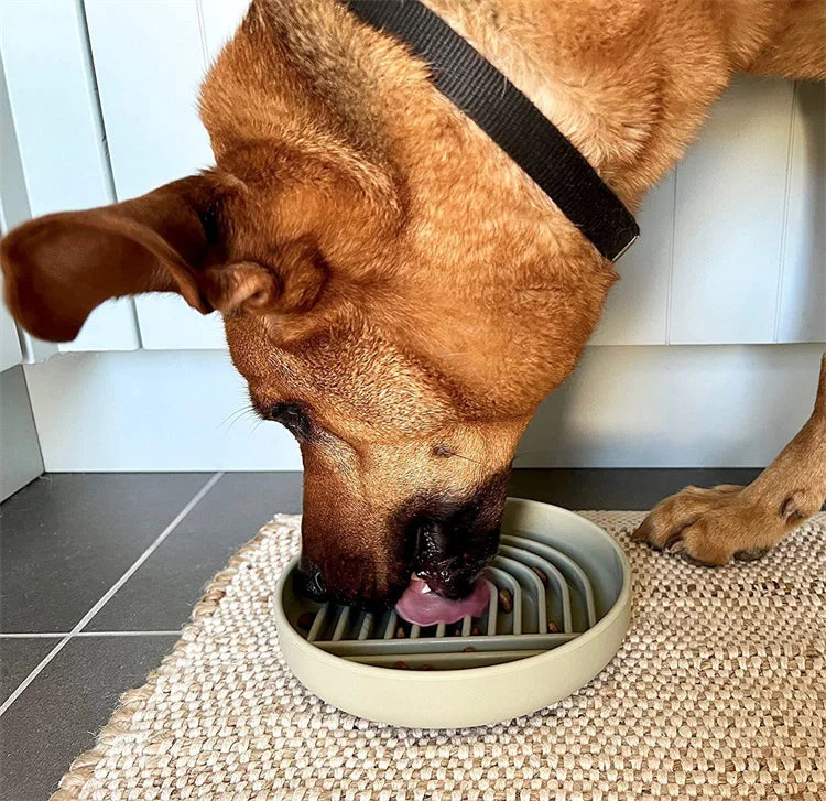 Pet supplies Slow Food  Bowl