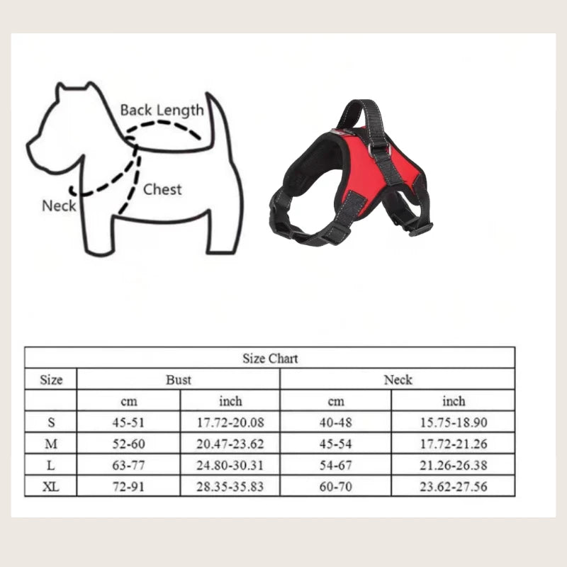 Pet Leash Medium and Large Dog