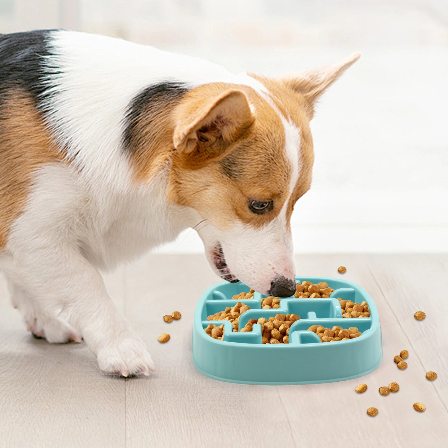 Pet Dog Slow Feeder Bowl Fun 13