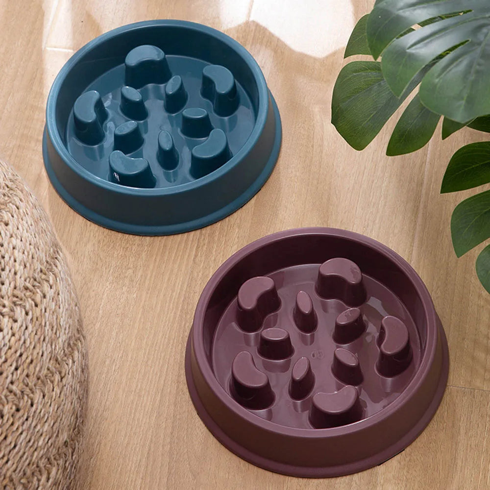 Pet Dogs and Cats Slow Food Bowl