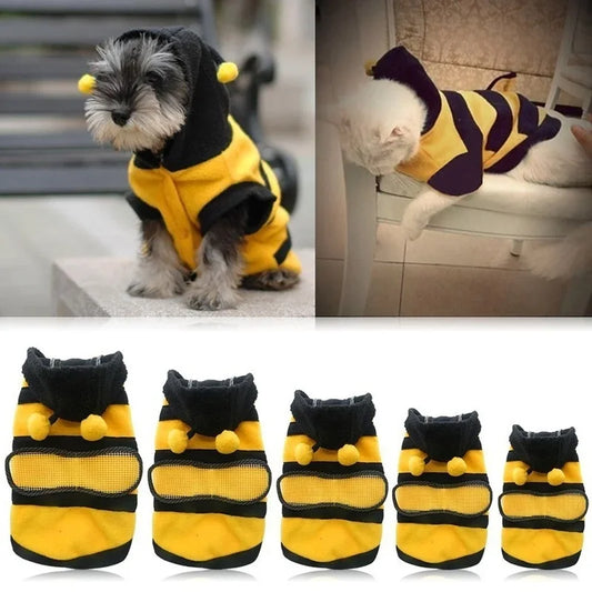 Bee Cozy Outfit