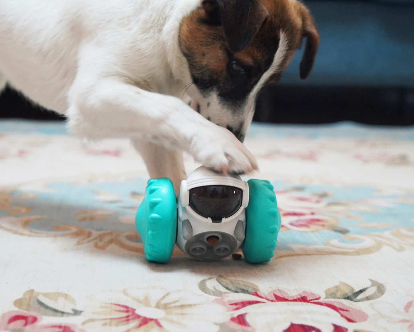 Pet Food Dispenser Toy