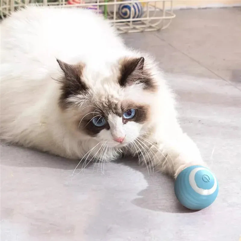 Cat Magic Rolling Ball