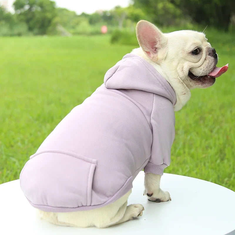 Dog Winter Jacket