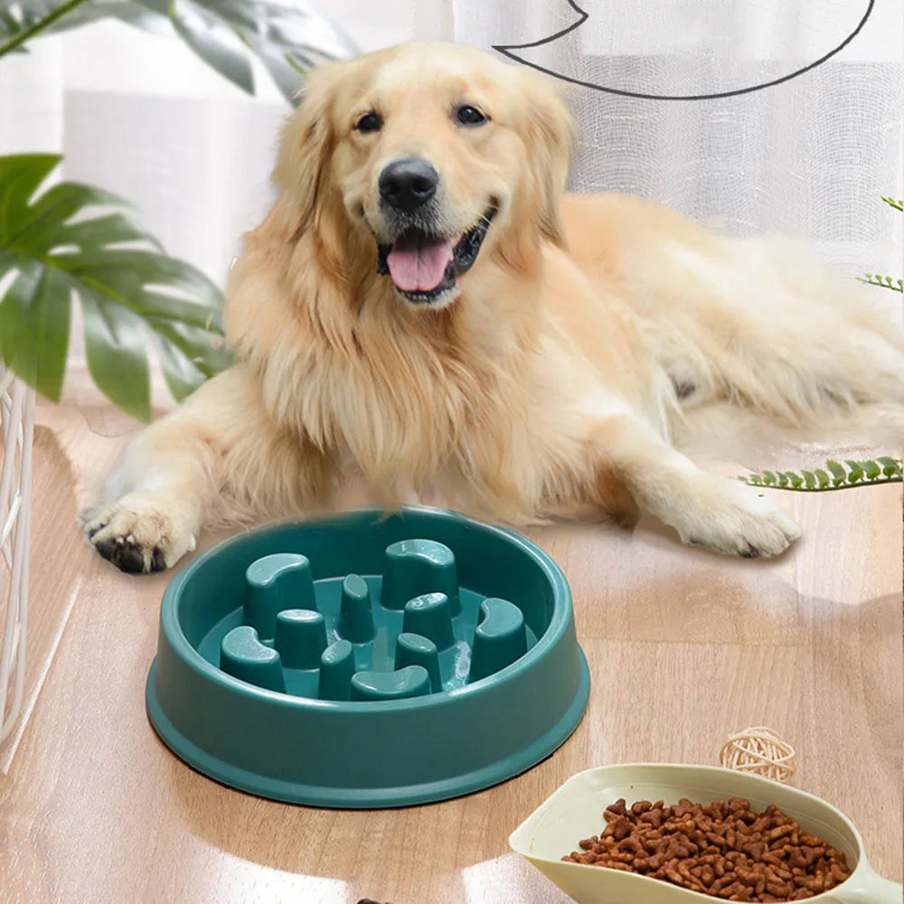 Pet Dogs and Cats Slow Food Bowl