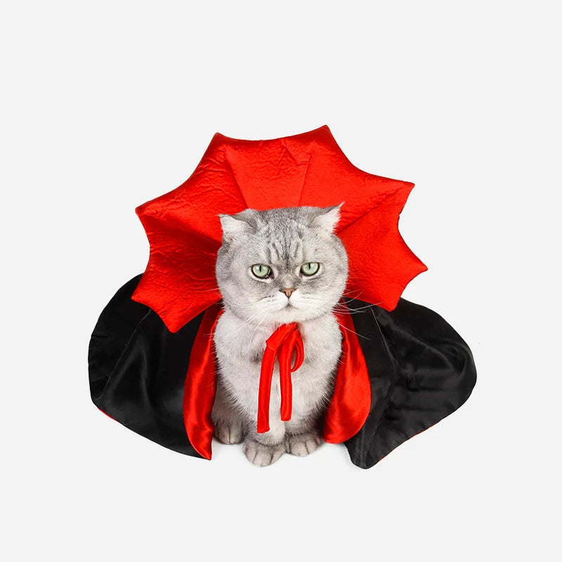 Halloween Pet Cosplay Costume