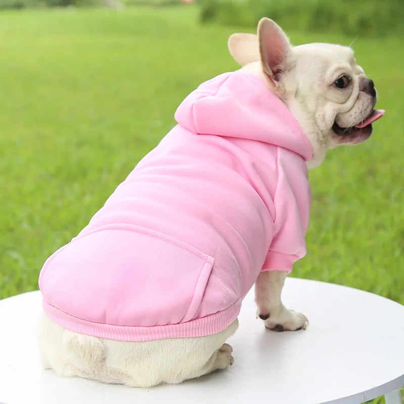 Dog Winter Jacket