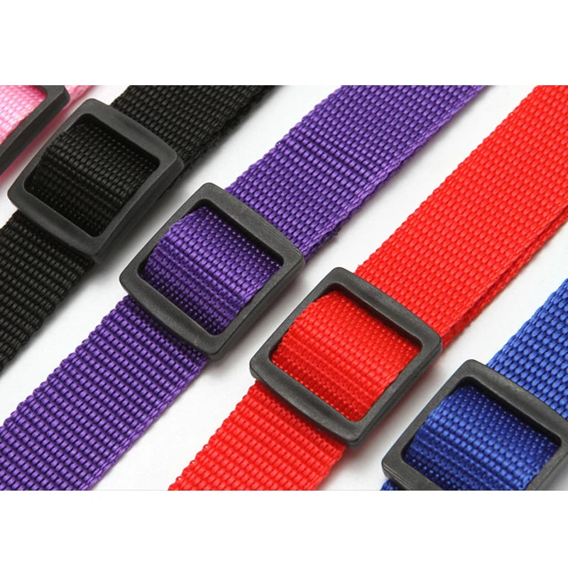 Solid Color Two-in-one Pet Car Seat Belt