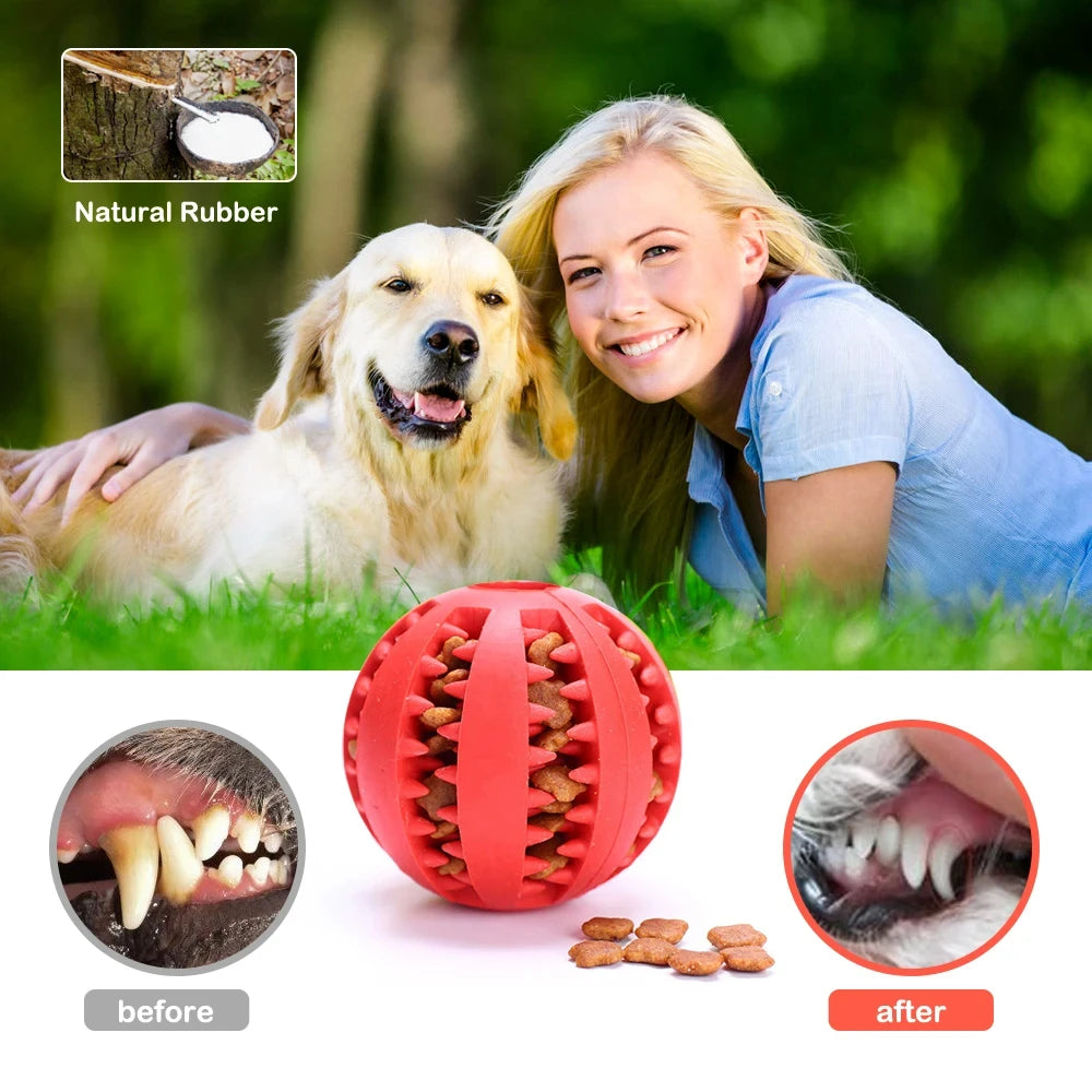 Pet Dog Toy Interactive  Balls