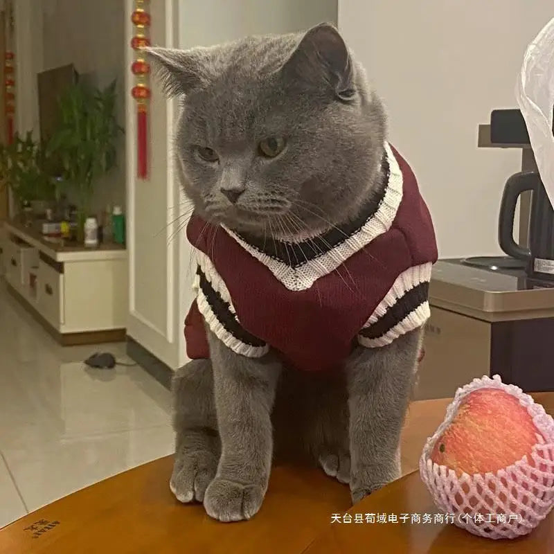 Pet Solid Costume  Cat Clothes Jacket