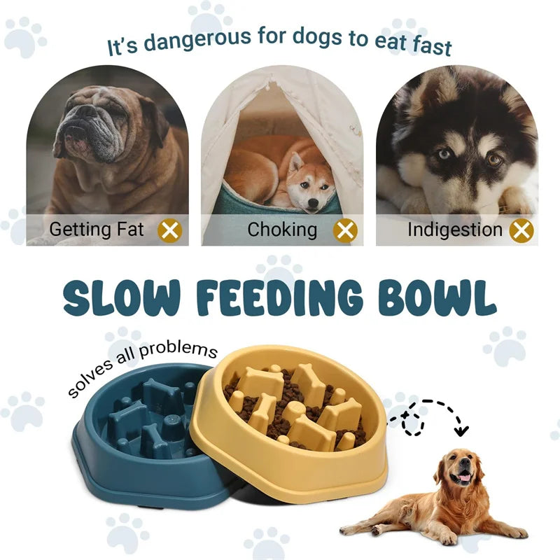 Dog Feeding Bowl for Slow Eating