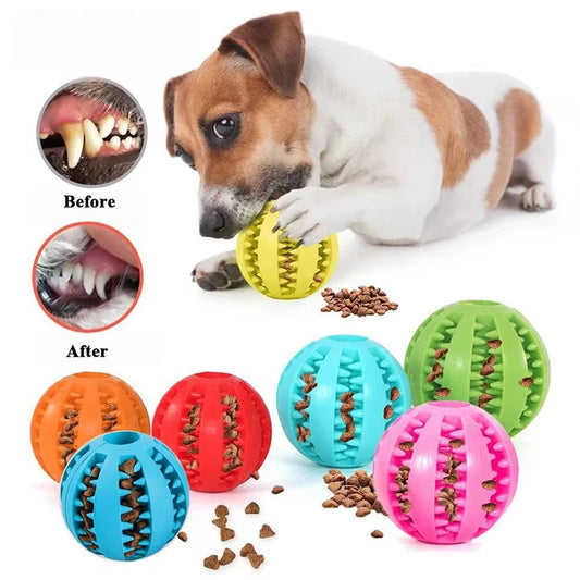 Pet Dog Toy Interactive  Balls