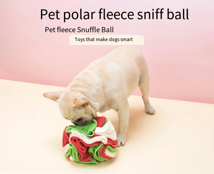 Dog Slow Feed Sniff Ball