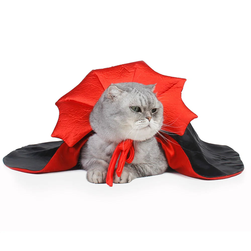 Halloween Pet Cosplay Costume