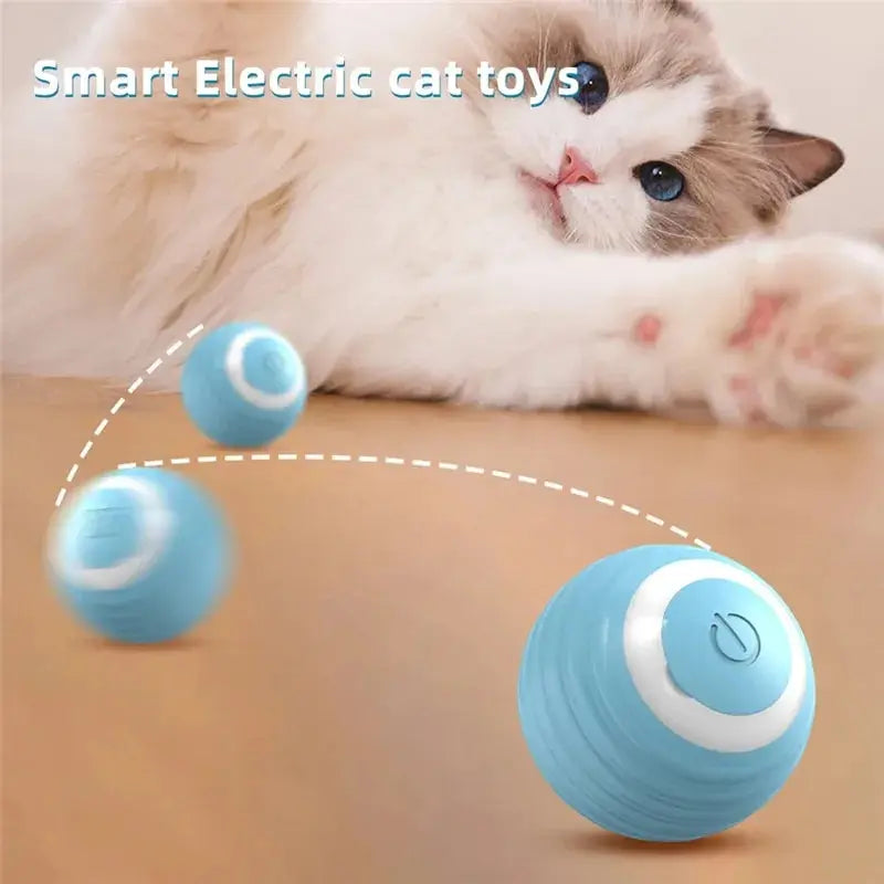 Cat Magic Rolling Ball