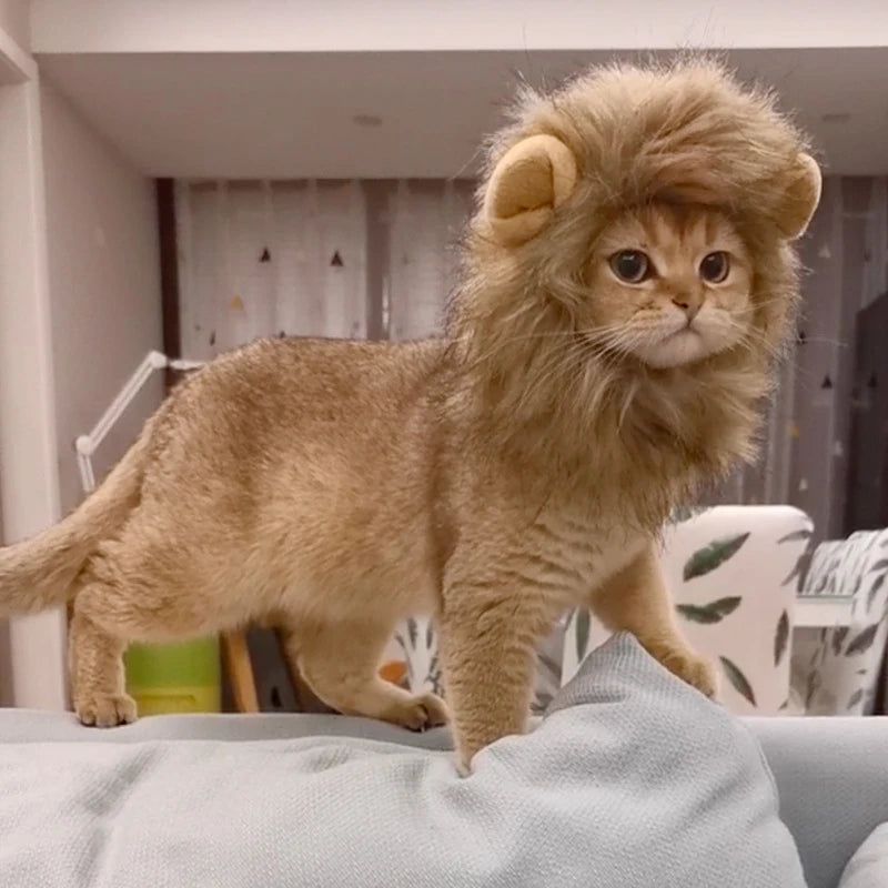 Pet Hairpiece - Humorous Lion for Dogs and Cats