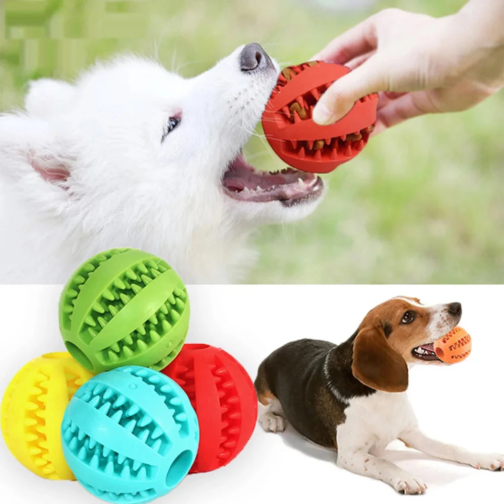 Pet Dog Toy Interactive  Balls