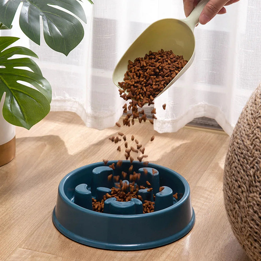 Pet Dogs and Cats Slow Food Bowl