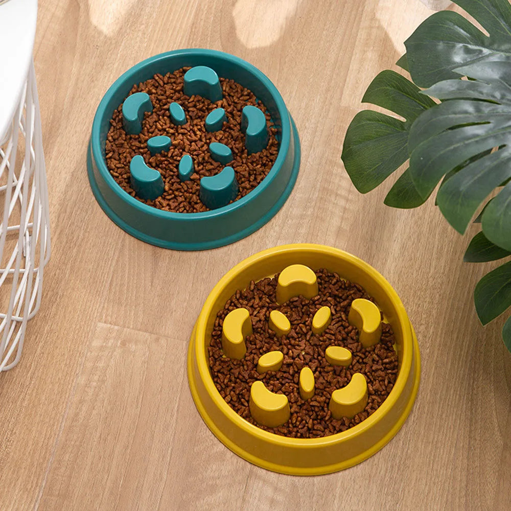 Pet Dogs and Cats Slow Food Bowl