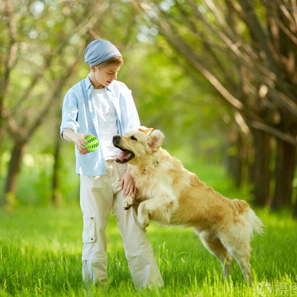 Pet Dog Toy Interactive  Balls