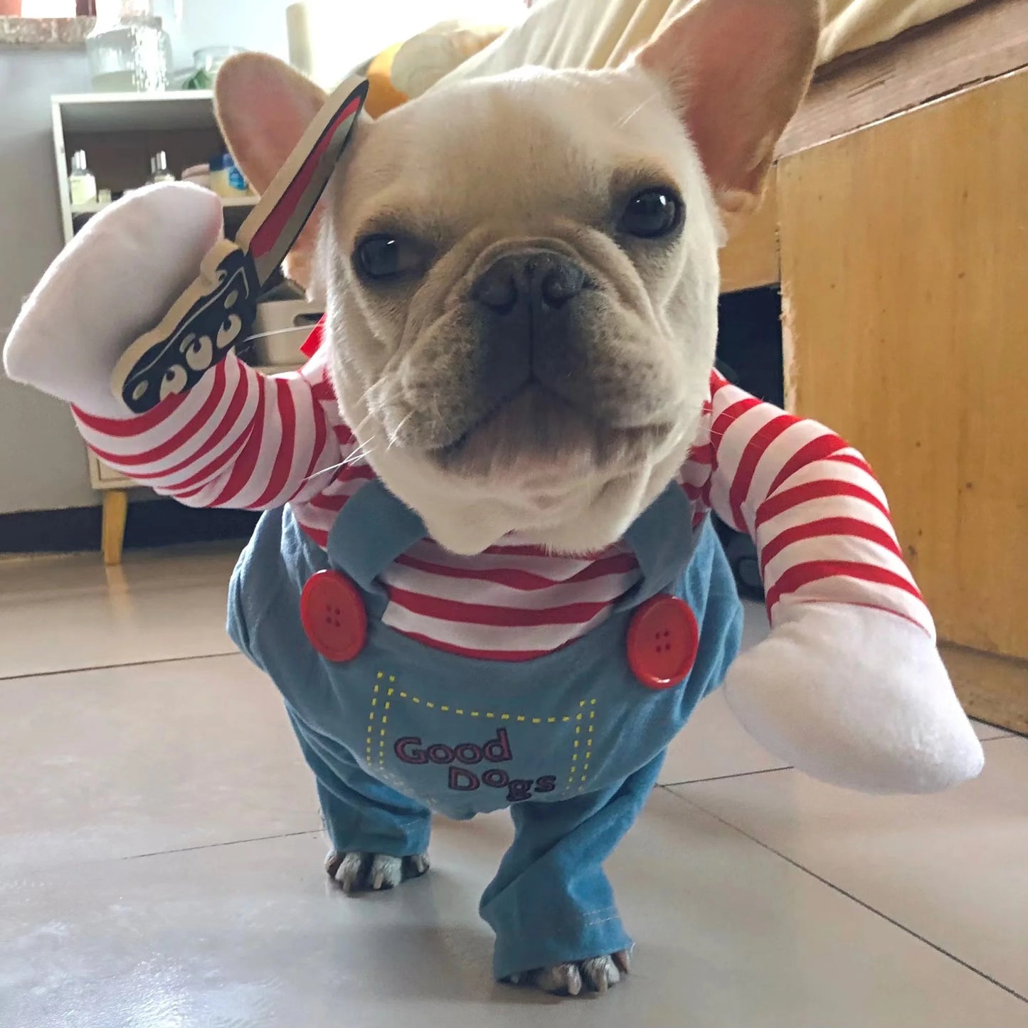 Cosplay Costumes for Dogs