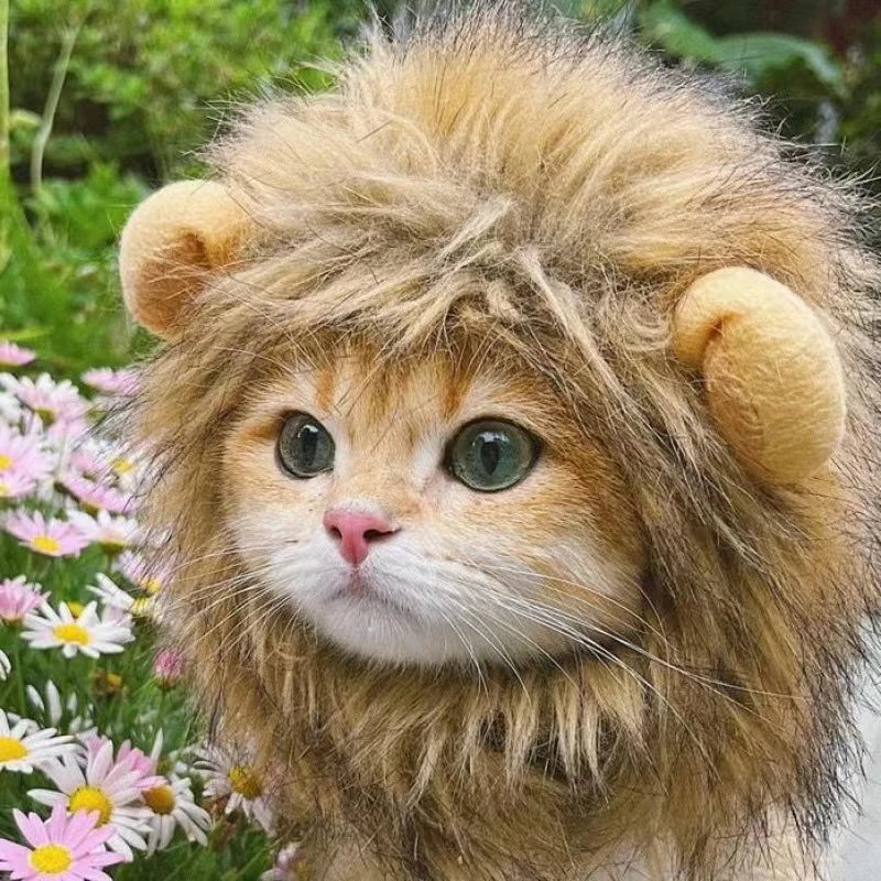 Pet Hairpiece - Humorous Lion for Dogs and Cats