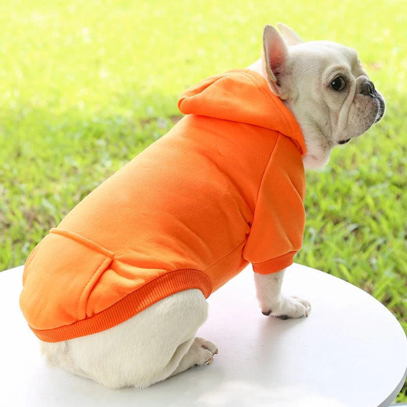 Dog Winter Jacket