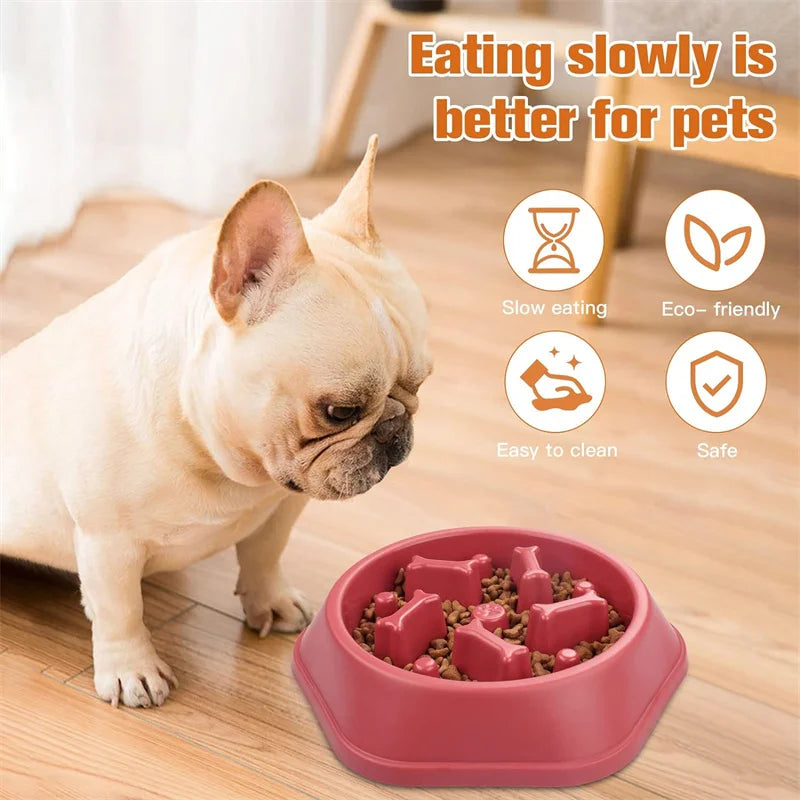 Dog Feeding Bowl for Slow Eating