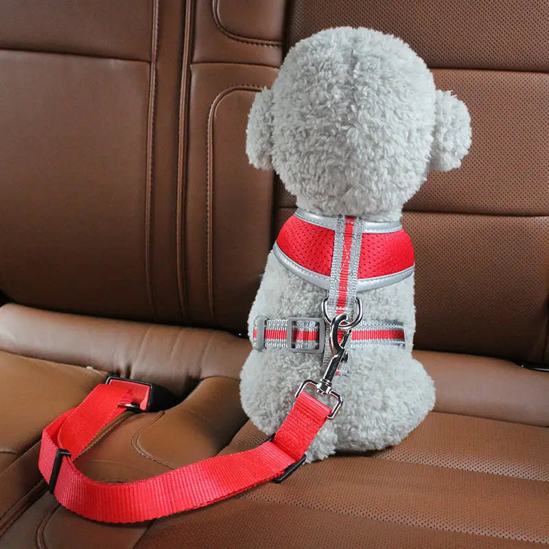 Pet Travel Safety Belt