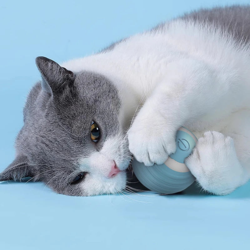 Cat Magic Rolling Ball