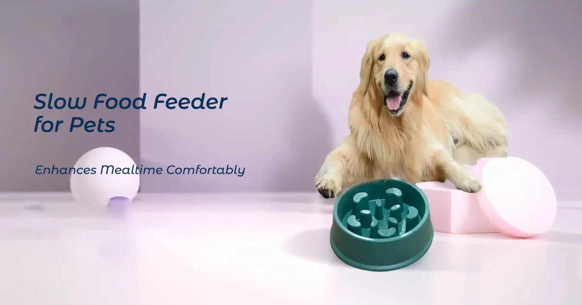 Pet Plastic Anti Choking Slow Food Bowl