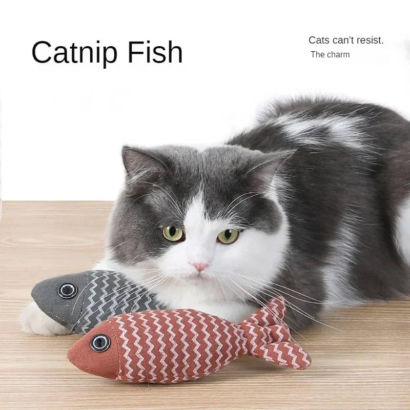 Catnip Fun Toy for Cats