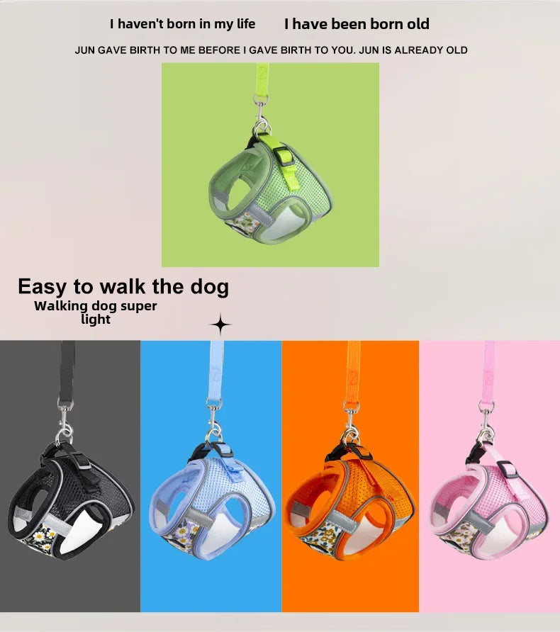 Retractable Dog Leash and Harness