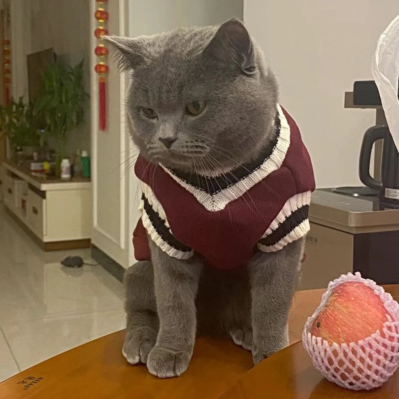 Pet Solid Costume  Cat Clothes Jacket