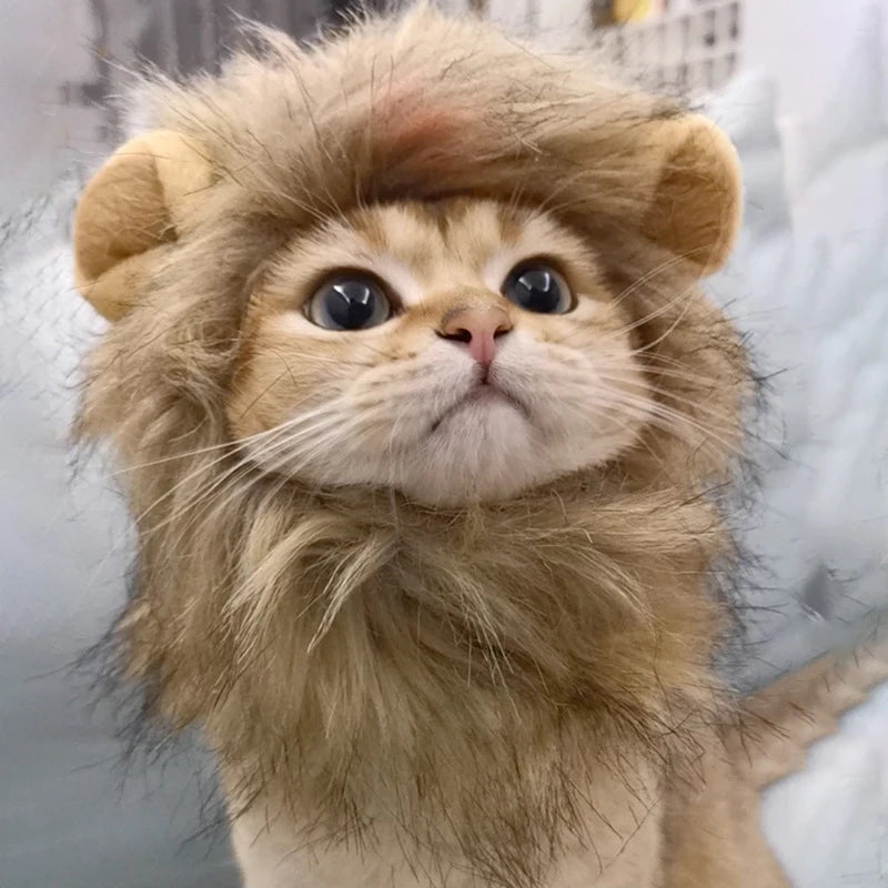 Pet Hairpiece - Humorous Lion for Dogs and Cats