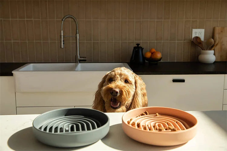 Pet supplies Slow Food  Bowl