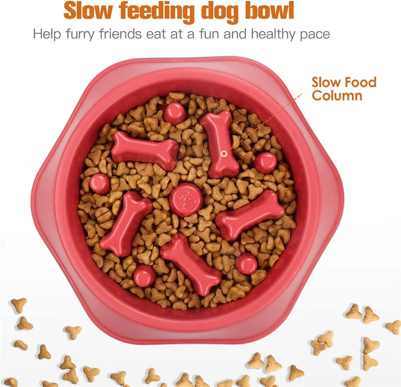 Dog Feeding Bowl for Slow Eating